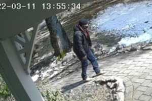 Police Seek ID For Person Of Interest In Broad Daylight Morris County Break-In