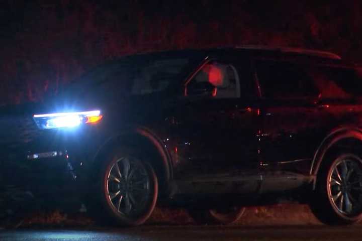 Woman, Child Struck By Drunk Driver In SUV, Police Say