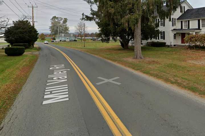 Driver Dies After Crashing Into Tree In Hadley