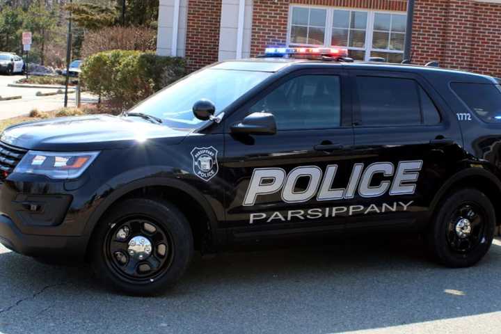 Interrupted Burglary: Police Find West Orange Car Thief In Stolen Kia, Official Say