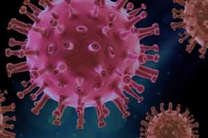 COVID-19: Subvariant XBB Rapidly Spreading Statewide, Prompting NY Health Department Warning