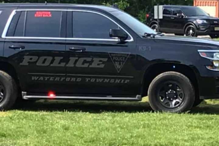 Dogs Break Loose From Owner Before Attacking Woman Walking Her Dog In Camden County: Police