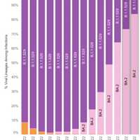 <p>The rolling rate of the spread of the BA.2 strain in New York.</p>