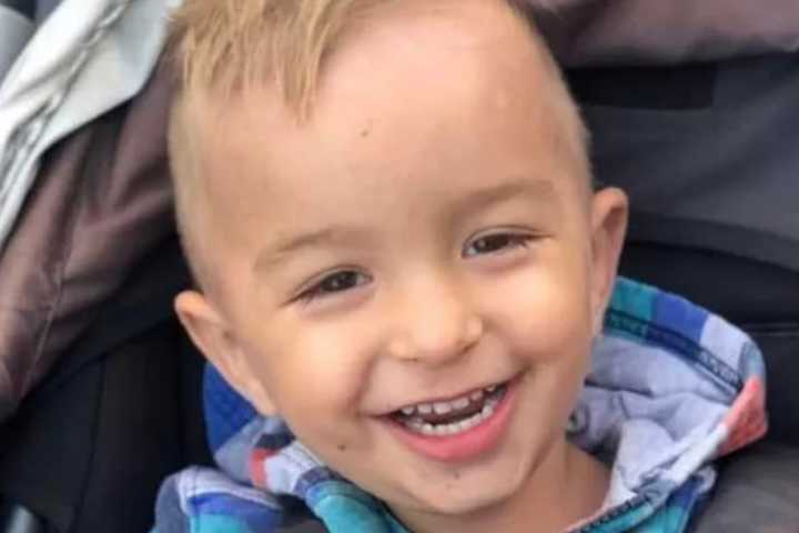 Community Rallies To Support Family Of 3-Year-Old, Grandmother Killed In Hudson Valley Crash