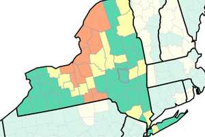 COVID-19: These NY Counties At Medium, High Risk Of Spreading Virus, CDC Says