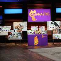 <p>Andrey Grigoryev of Cat Amazing on &quot;Shark Tank.&quot;</p>