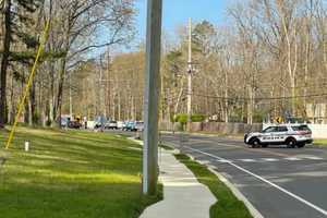 School Bus Crashes Head-On In South Jersey, Both Drivers Hurt: Police