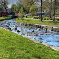 <p>Passaic&#x27;s Hughes Lake in Third Ward Park.</p>