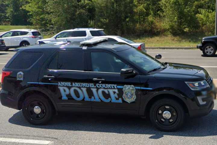 Human Remains Found In Maryland Alley; Homicide Investigation Underway: Police