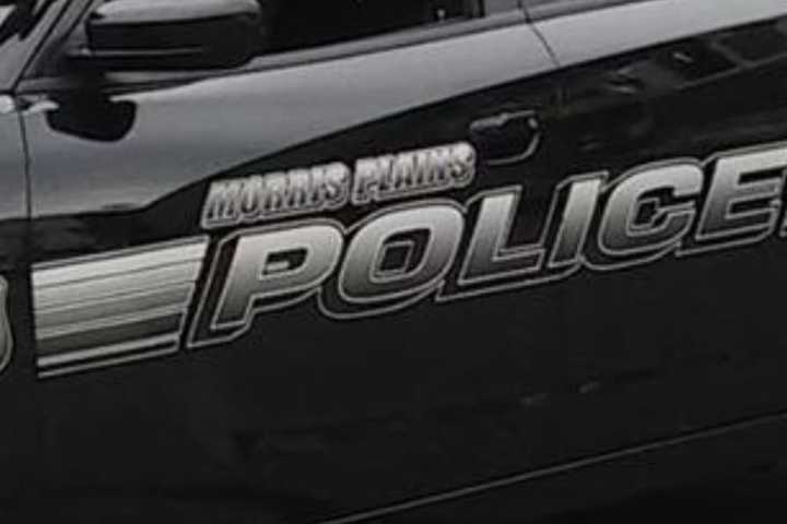 Teen Struck By Minivan After Running Into Morris County Road: Police