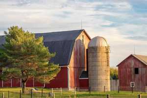 Central PA Farmer Suffocates To Death In His Silo: Report