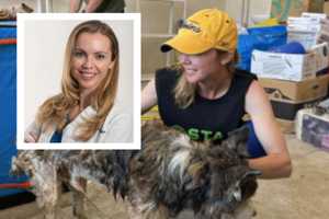 Fairfax Veterinarian Details Atrocities In Ukraine After 2-Week Trip