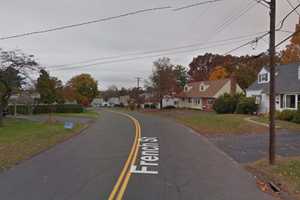 Dog Shot, At Large After 'Vicious' Attack In CT, Police Say