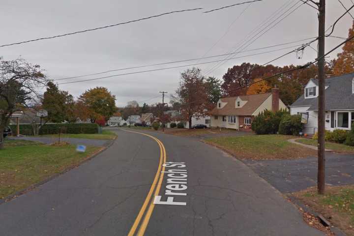 Dog Shot, At Large After 'Vicious' Attack In CT, Police Say