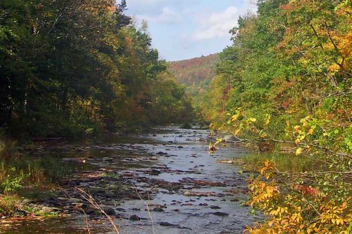 Woman Falls 50 Feet To Her Death While Doing Yardwork In Hudson Valley, Police Say