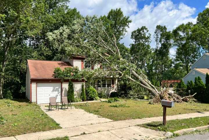 Storm damage in Blackwood courtesy of NorEasterNick