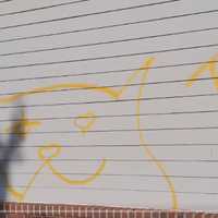 <p>Graffiti left by the &quot;Mad Cat&quot; vandal</p>