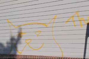 Police Arrest So-Called 'Mad Cat' Graffiti Vandal In Central Jersey