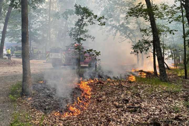 Wildfire Burns 2,100 Acres Of Wharton State Forest