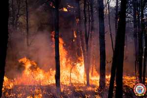 Wildfire In South Jersey Consumes 315 Acres, Fully Contained