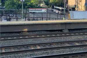 ID Released For Person Struck, Killed By Train In Westchester