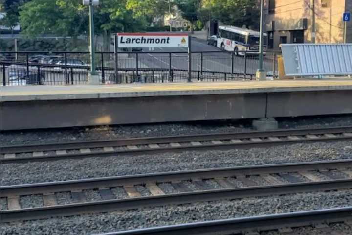 ID Released For Person Struck, Killed By Train In Larchmont