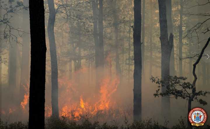 The wildfire at Wharton State Forest.