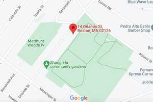 Man Fatally Shot In Head In Boston: Police