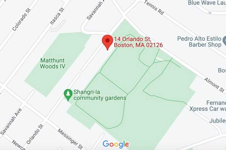 Man Fatally Shot In Head In Boston: Police