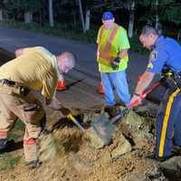 <p>Dylan, a hunting dog, was rescued from a drain pipe by first responders.</p>