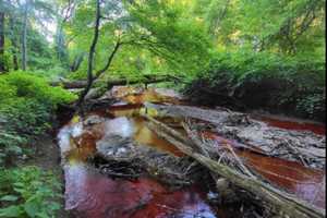 Environmentalists Seeing Red After Dye Dumped Into Waterway Taints South Jersey Creek