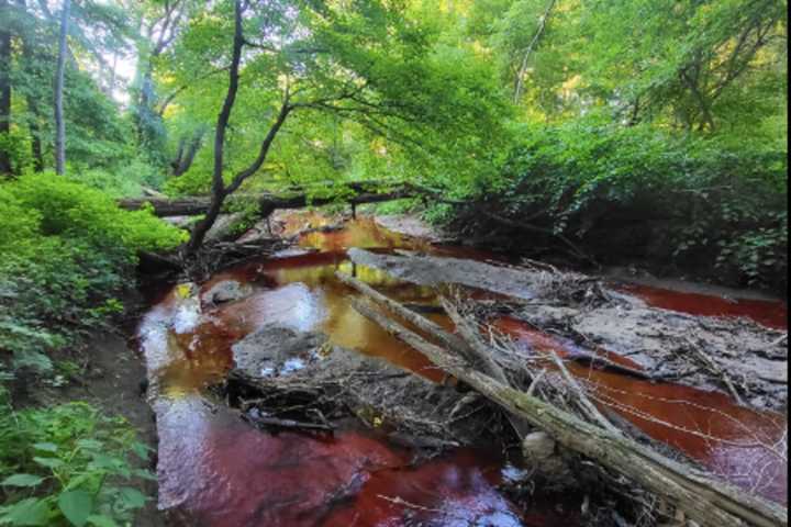 Environmentalists Seeing Red After Dye Dumped Into Waterway Taints South Jersey Creek