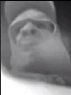 Facebook Users Think They've Seen Newark Burglary Suspect Before — Perhaps On Silver Screen?