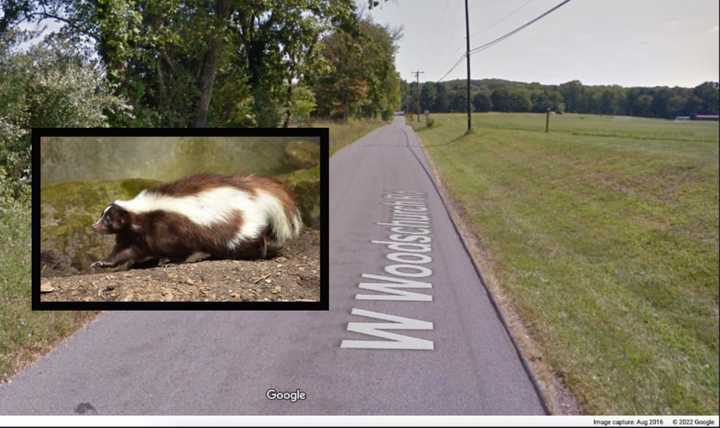 A skunk tested positive for rabies near West Woodschurch Road in Readington Township, officials said.