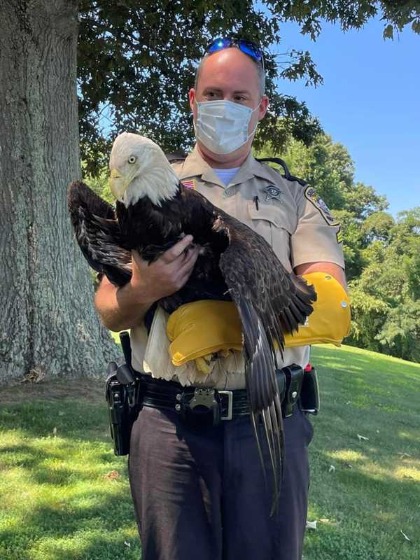Stafford Officer Was Wind Beneath One Eagle's Injured Wing