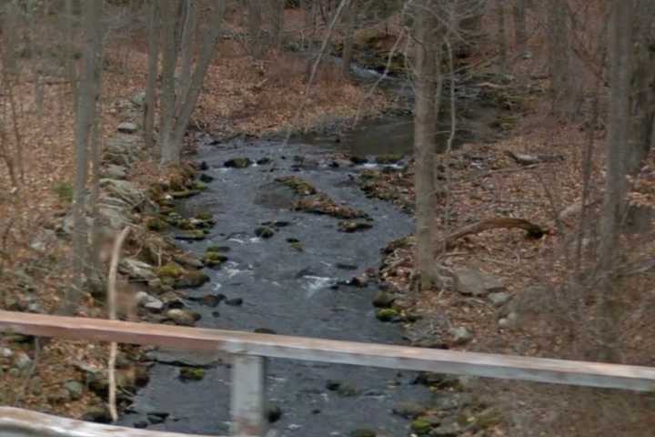 Butchered Ram Found Near River In Fairfield County