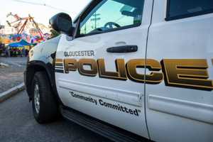 3-Month-Old Puppy Killed In Gloucester Crash, Police Looking For Driver