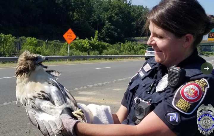 Police with the Hawk