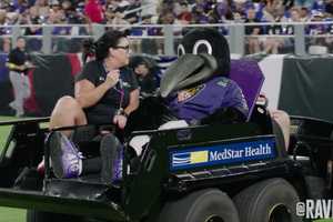 Baltimore Ravens Mascot 'Poe' Injures Drumstick, Out For The Season