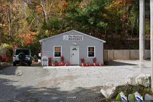 Owner Of Rowley Dog Daycare Center Slapped With 40 Counts Of Animal Cruelty