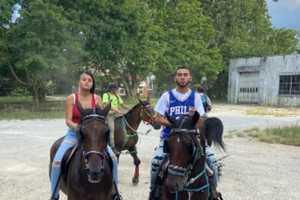Family Of Horse Killed, Teen Hurt In NJ Hit-Run Crash Seeking Justice