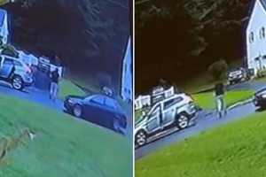 KNOW THEM? Suspicious Vehicle Damages Property, Speeds Away In Morris County Accident