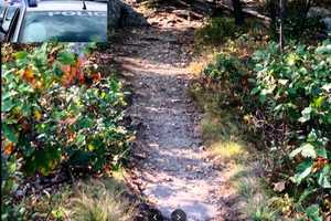 Bones Found On Hiking Trail In Area, Police Say