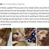 <p>Update on Rocky.</p>