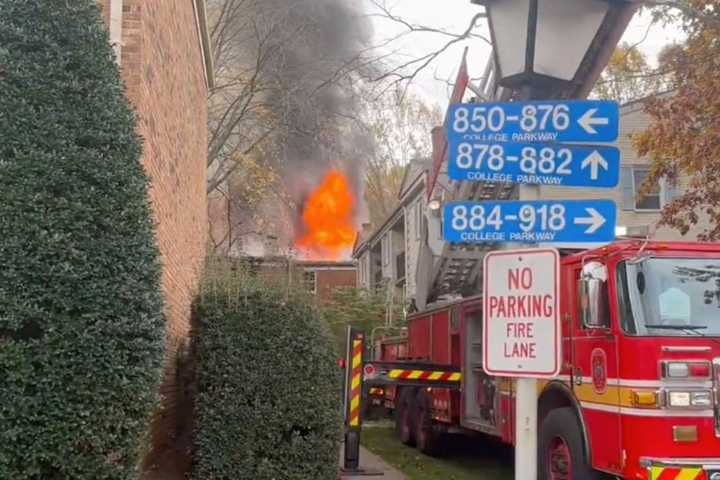 Several People, Pets, Rescued From Rockville Residence After Massive Halloween Fire