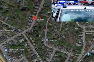 Duo Charged With Stealing Car, Credit Cards In Northern Westchester: Police