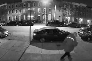 Thieves Steal Dog Poop Packages In Baltimore Neighborhood Revenge Prank: VIDEO