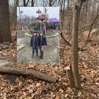 <p>Will, right and his brother Josh, left, check out the tree.</p>