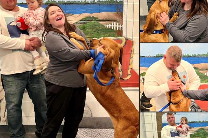 Dog In 'Crazy Rescue Ladies' Hoarding Case Reunited With Her Tennessee Owners