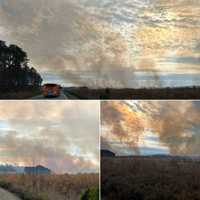 <p>The scene of the plane crash and brush fire in Suffolk</p>